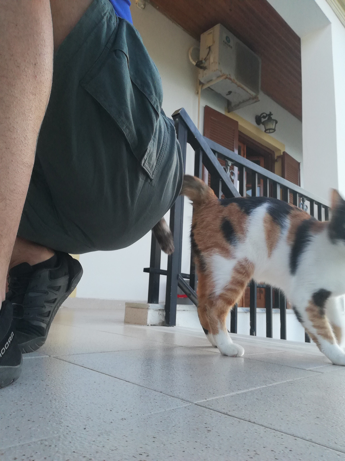 f40cd0f5-38a4-4cf1-a712-236267d5ffe5