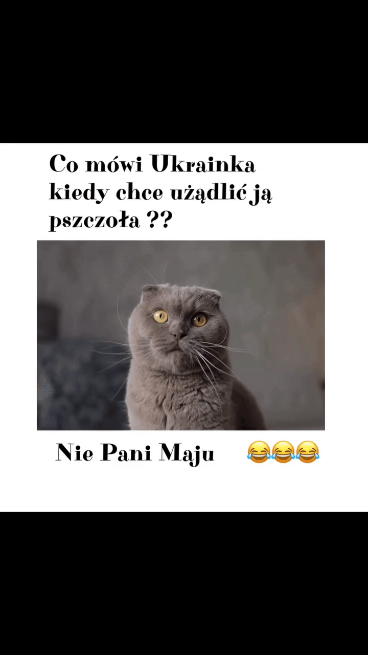 8c9d853b-7458-414c-9b7b-b7b8ed52220d