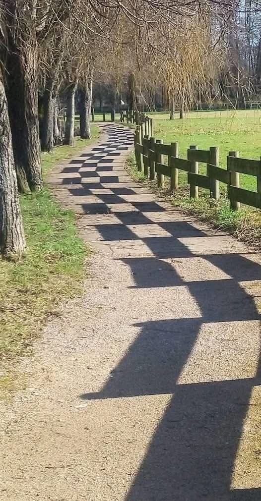 a28a74b7-84c7-46f9-a48e-851438829a12