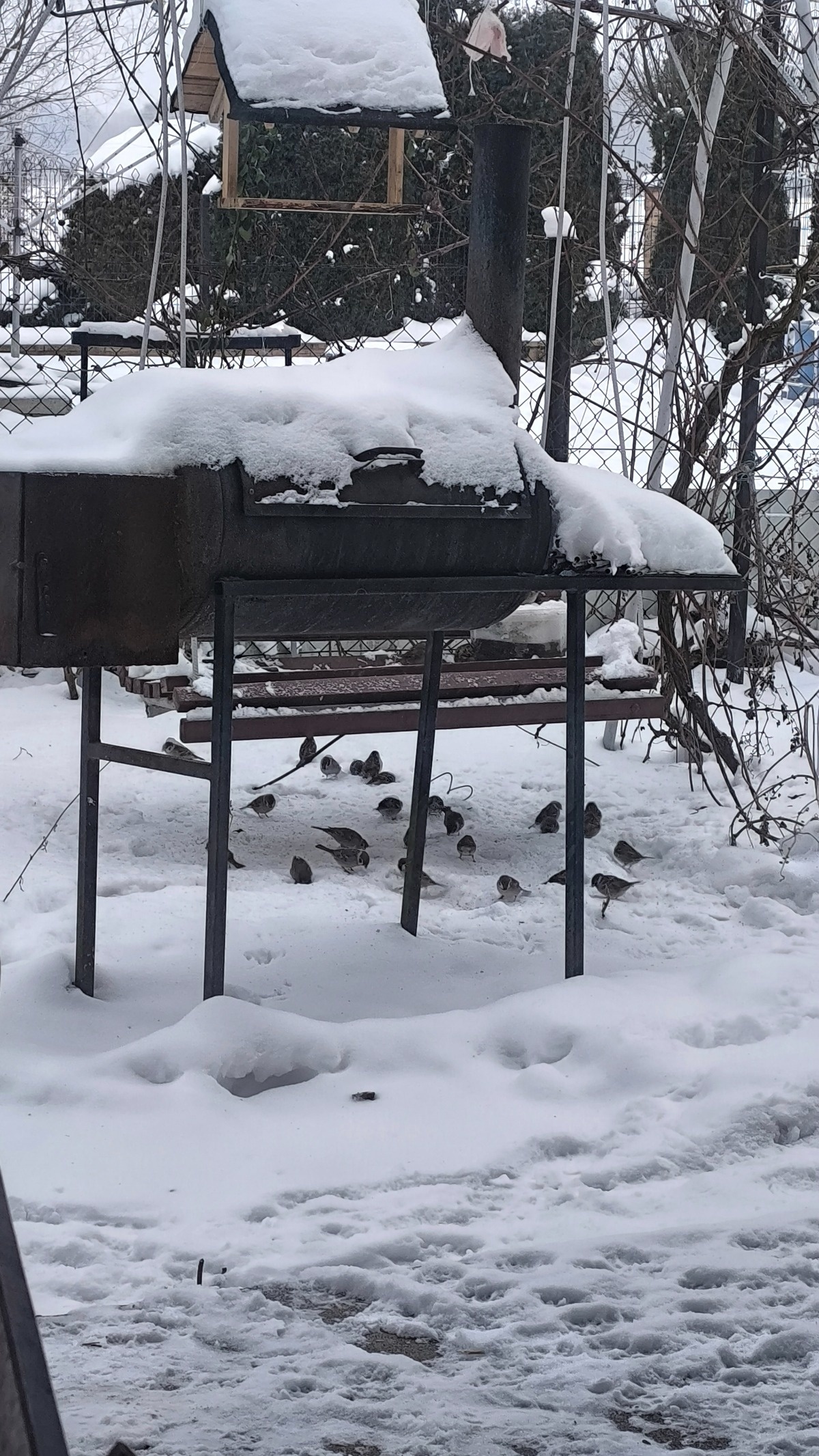 14e7eada-88c5-464c-94af-1fa0ae7a75c4