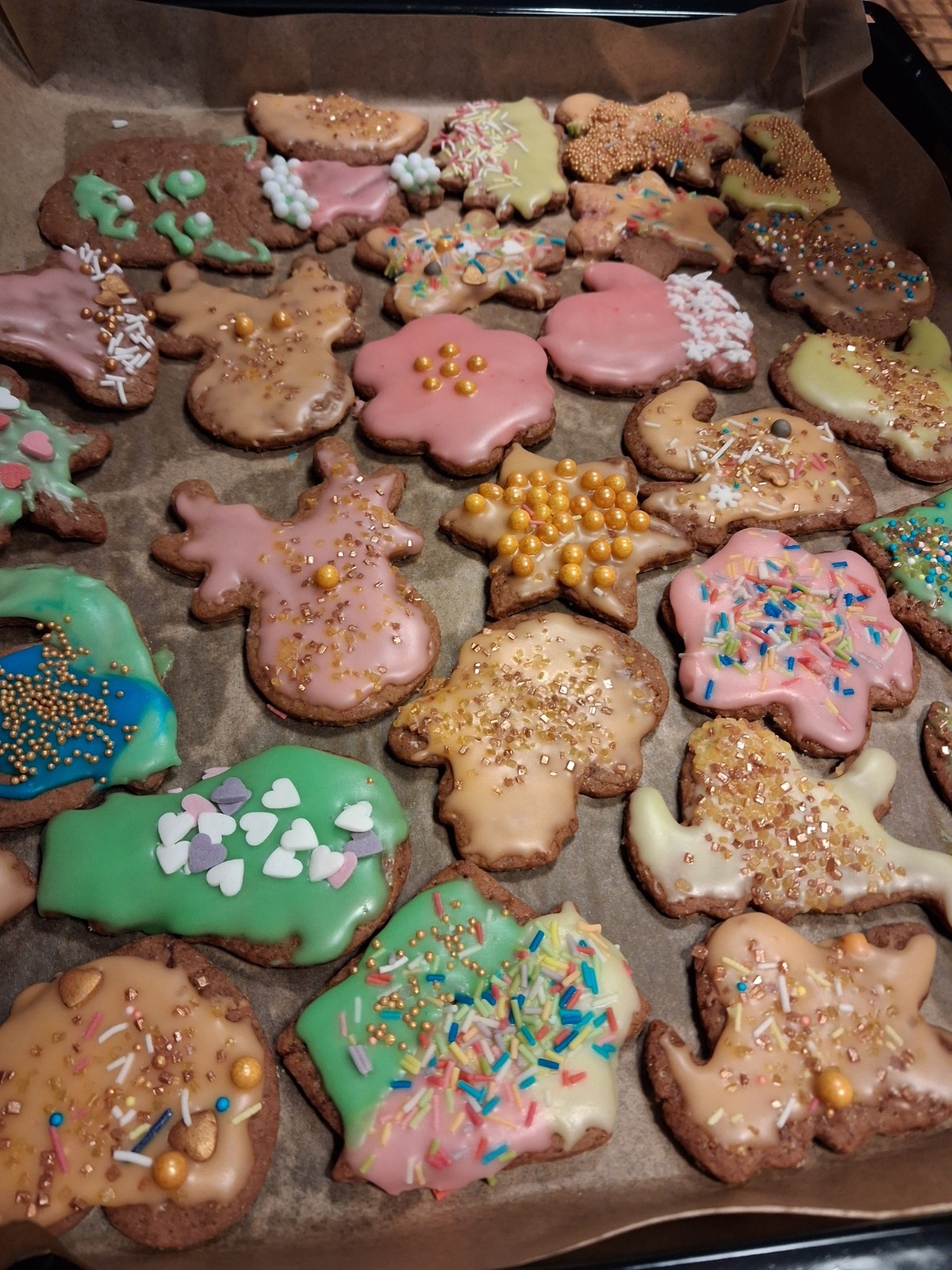 e6d0736b-14bf-497d-8db5-ca811a087c70