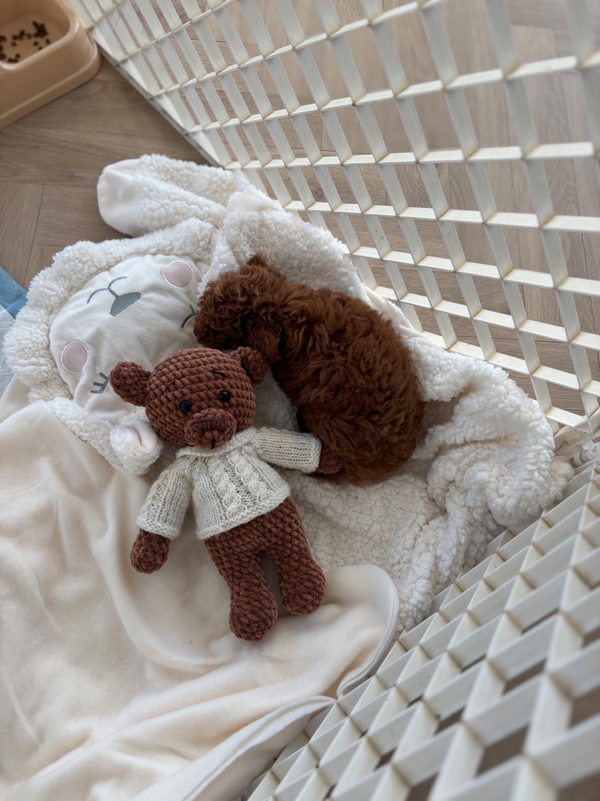 d1246a28-1a20-4c3d-aac5-8c9e9619eecf