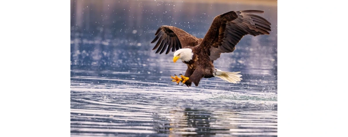 "Może mi pani nie uwierzyć". Nietypowe zgłoszenie na numer alarmowy