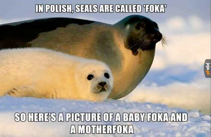 5bf24b99-16d1-4edc-a663-563910c9539b