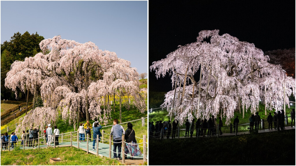 5a761246-53b4-4753-a846-72ef55db6d2f