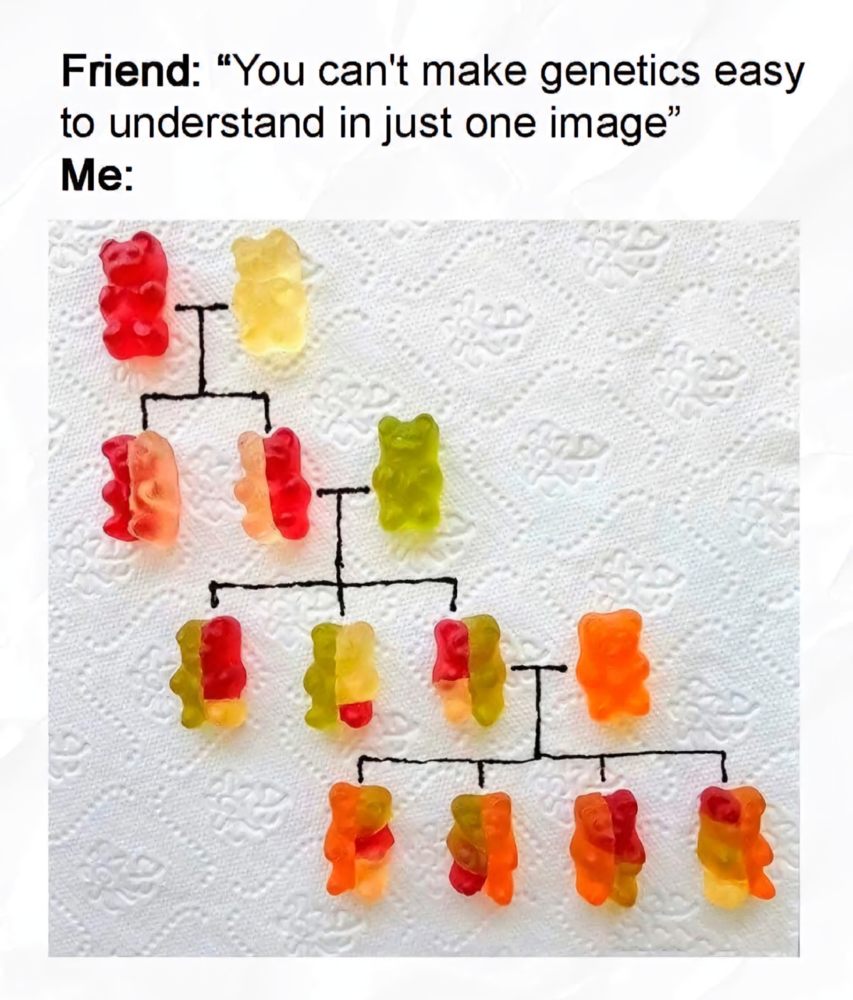 c93ec621-6cdb-4ae6-a3dd-37d240baa4a0