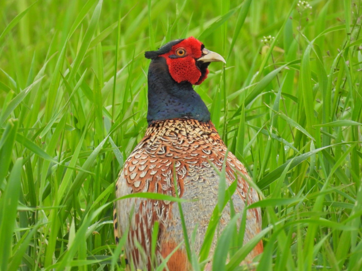 85c472a7-e516-4bfe-95e2-e1cefa042683