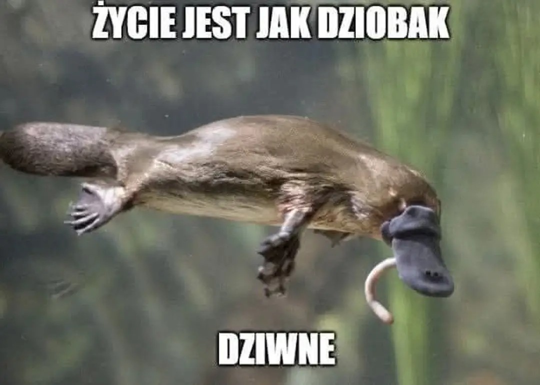 664a6f9e-b4c4-430d-aa9c-f4d62ed0cdbd