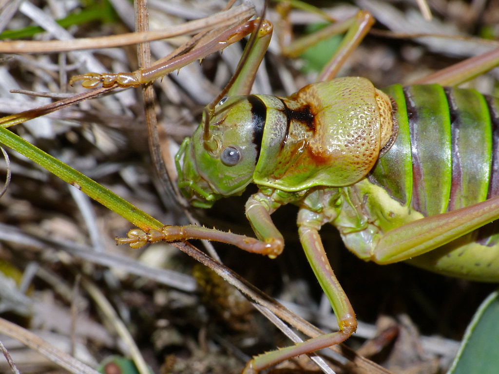 8290296f-cf5a-402c-ae2e-753d759fd1ee