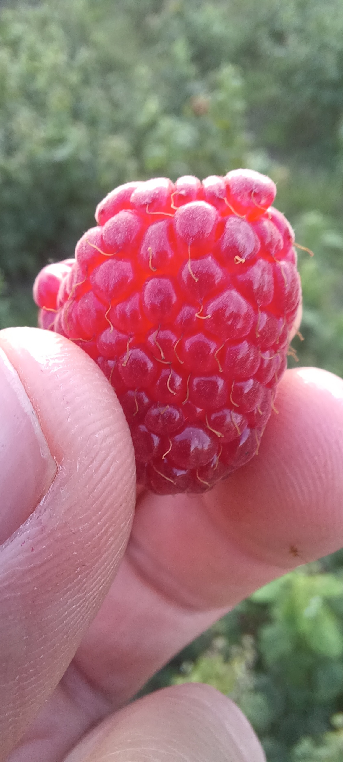 eac5fffc-d202-4880-996d-8f588bacbb8a