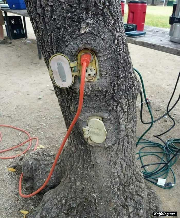 0c49514a-09d1-4132-9607-a5c87c1f9aff