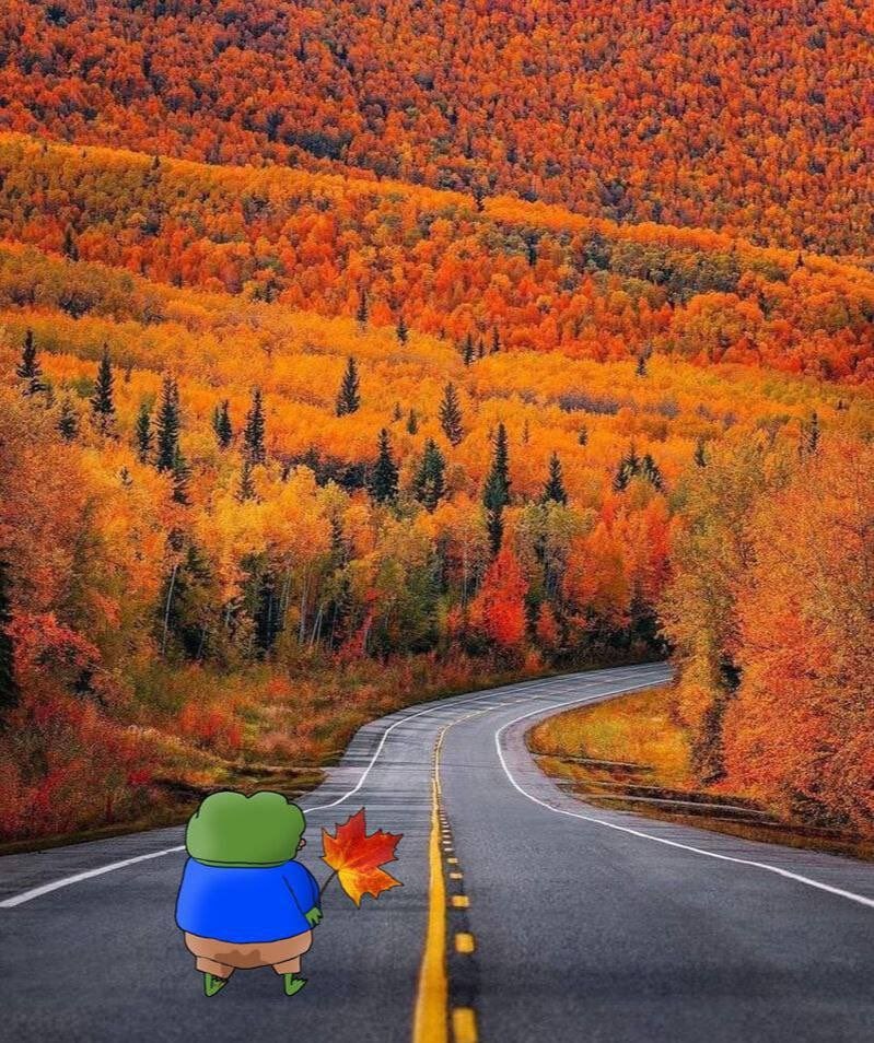 657266b2-2678-4855-a868-012555e55d24