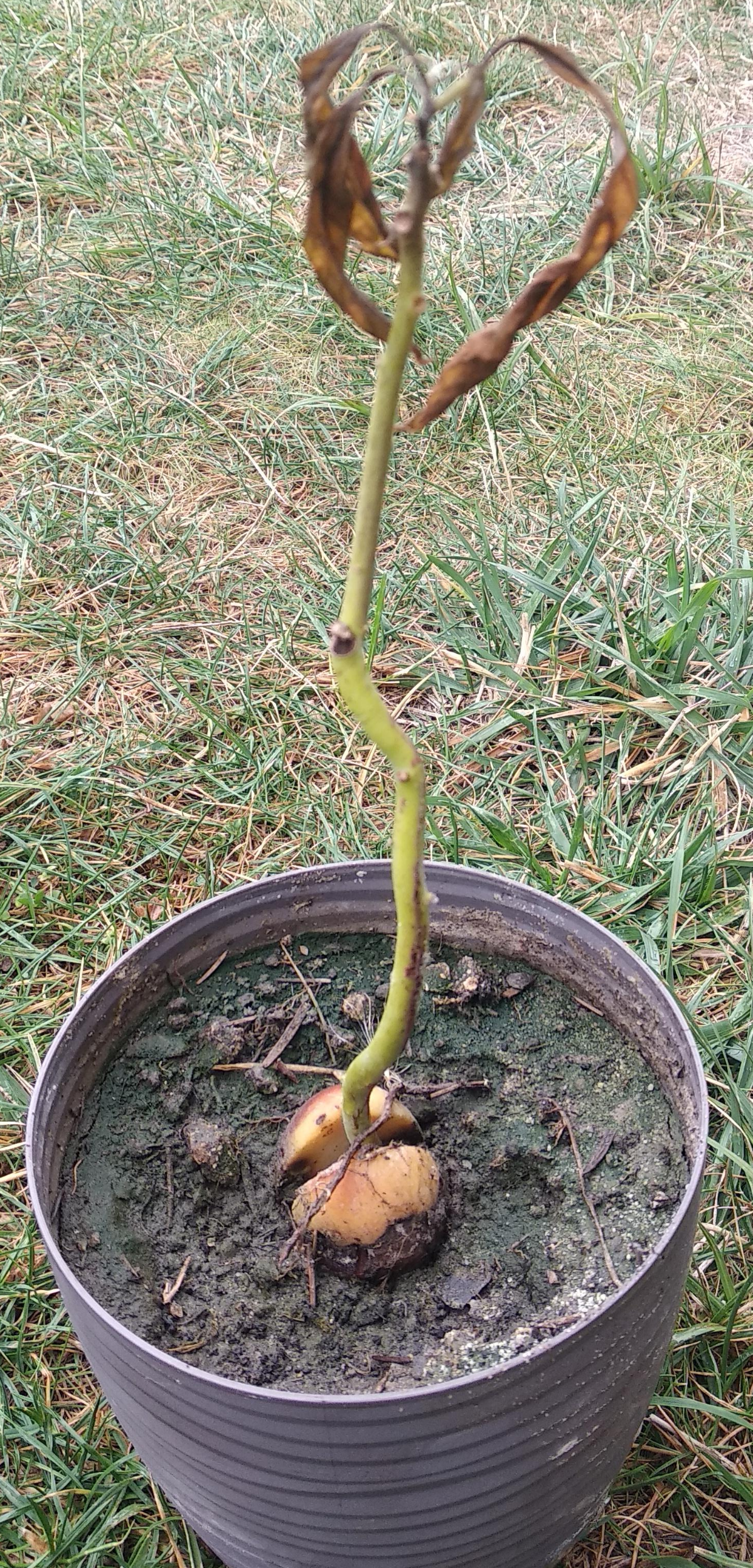 6dc674ae-99c3-44a9-93c8-ca3ad7ad734d