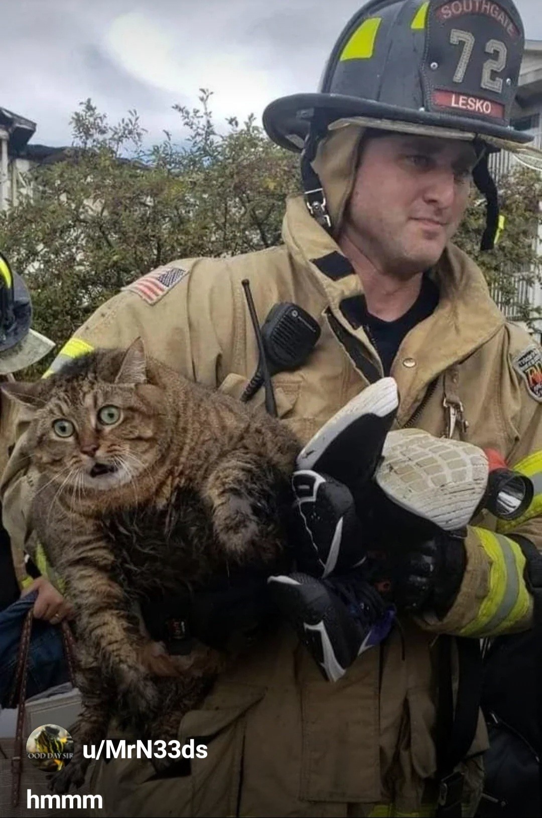 f4e325cc-2ae9-4381-b629-54800c8d8afd