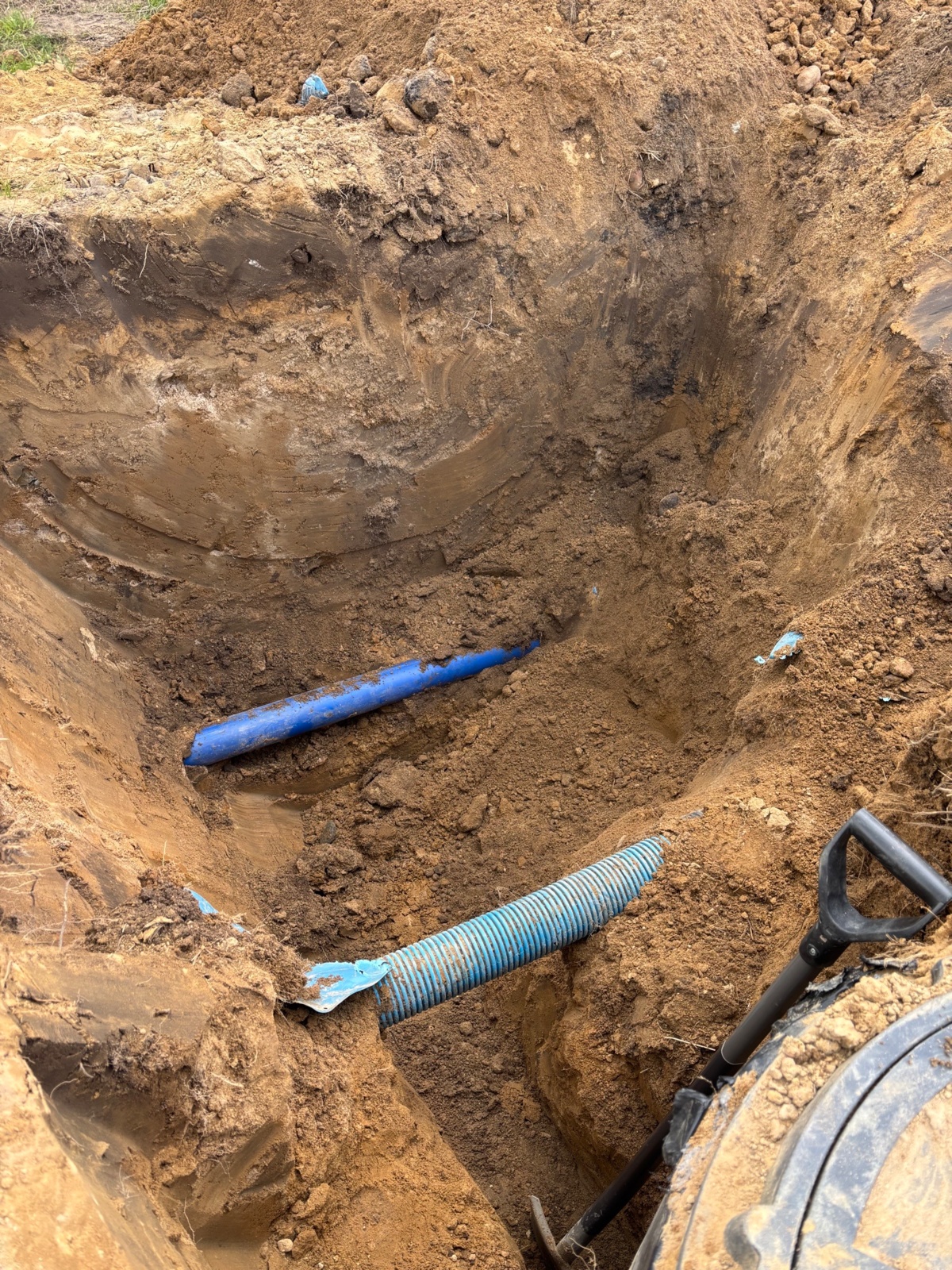 8544e15f-1c5f-436e-ba70-675890cb8af8