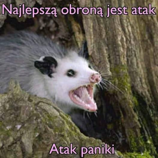 9a26e794-d6ab-4cb5-a5dd-01ff5b0c8d80