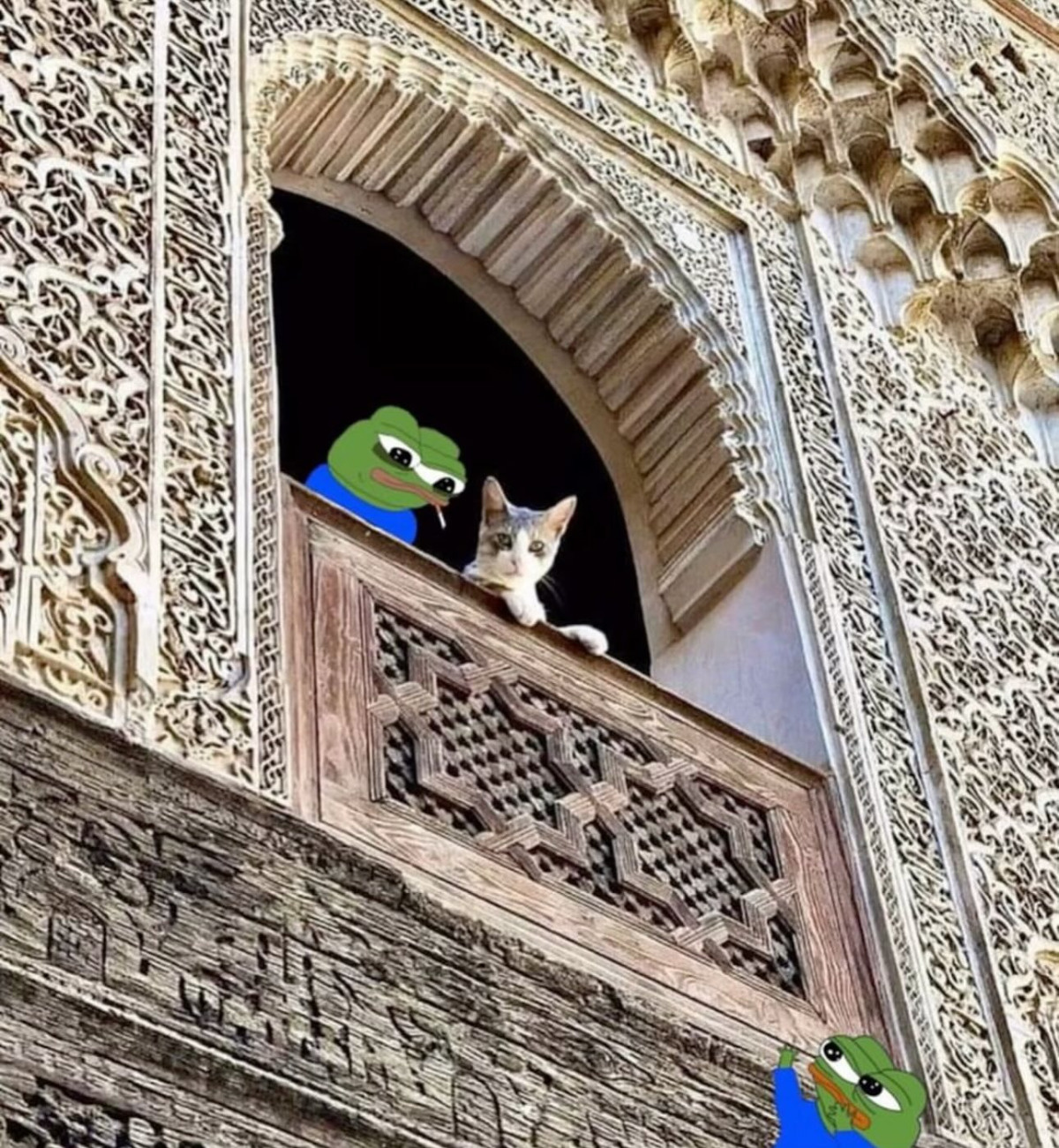 eed737be-81da-45f4-9c5a-4e84841f21e3