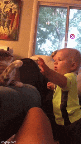 c7357fa6-eb0f-4412-99e4-bc8799f639df