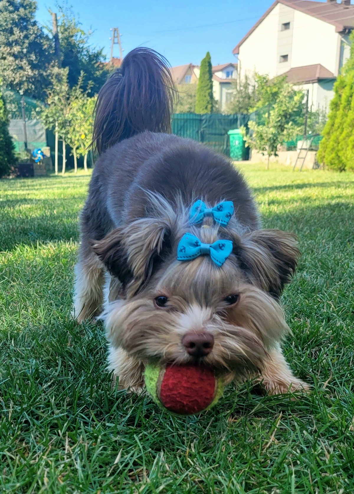 1a561967-0e8d-4d9b-b667-929a8fd723a8