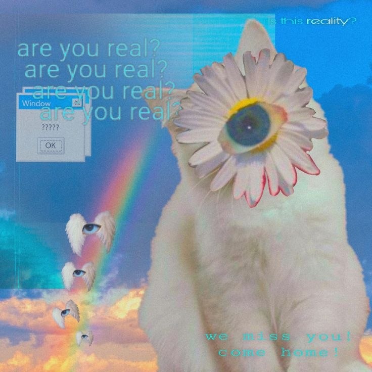 31158080-ed8f-4b40-8cc5-13d797638bc1