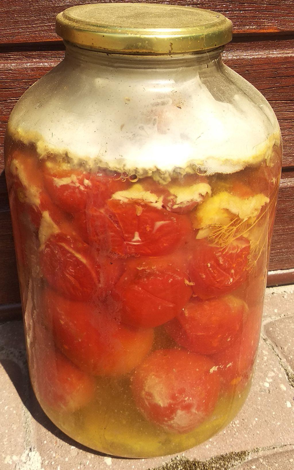 fbcbfa33-4f20-493a-88db-5cccd4fea765