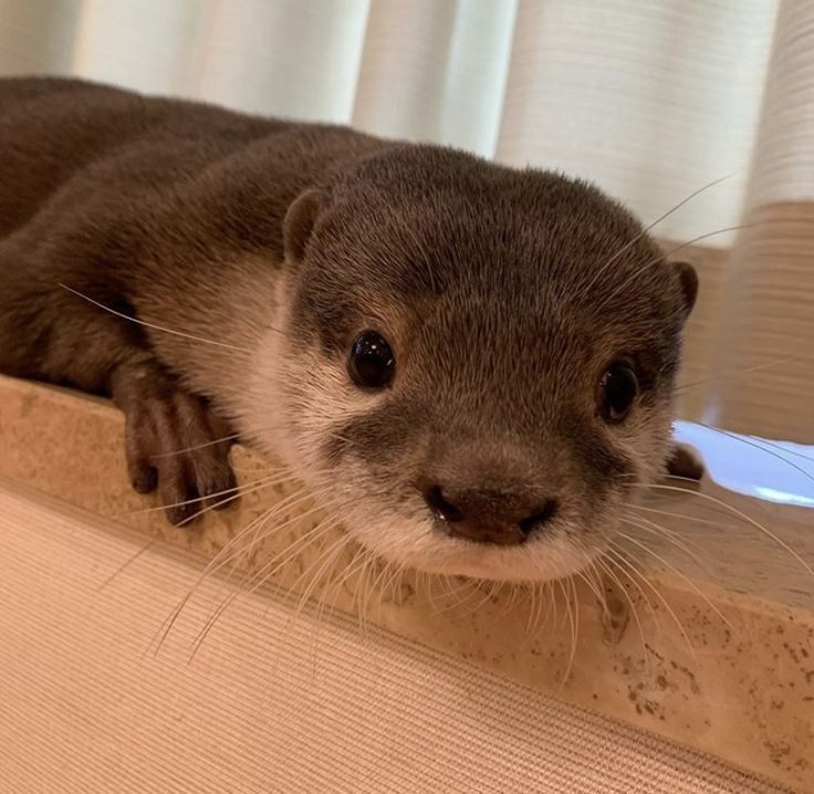 8aa1cd8b-a32a-4fcc-b972-8fc0db520894