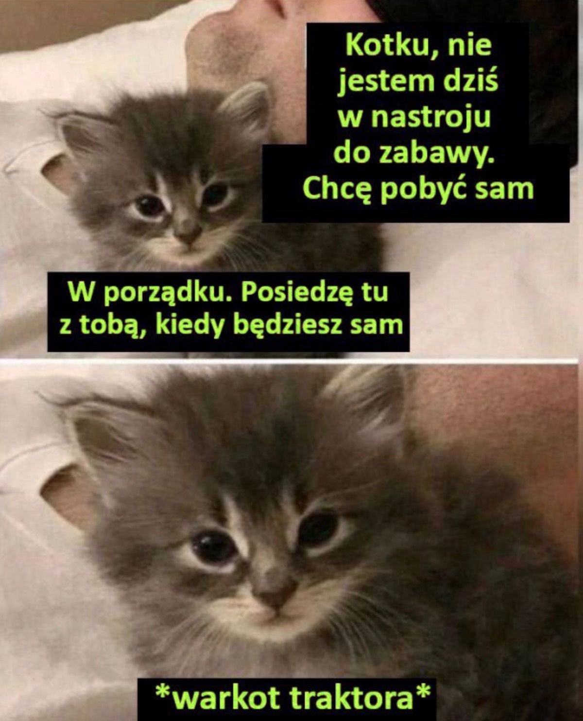 88c60d19-16bd-4a11-a9ff-b73d762ace05