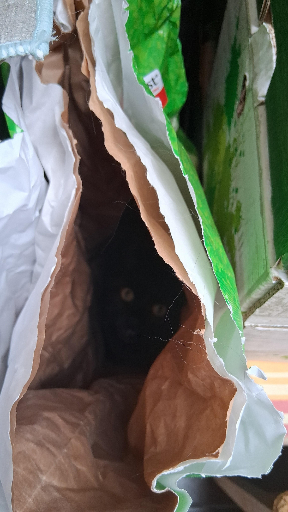 77f48b50-6b92-459b-a10c-9238930760e2