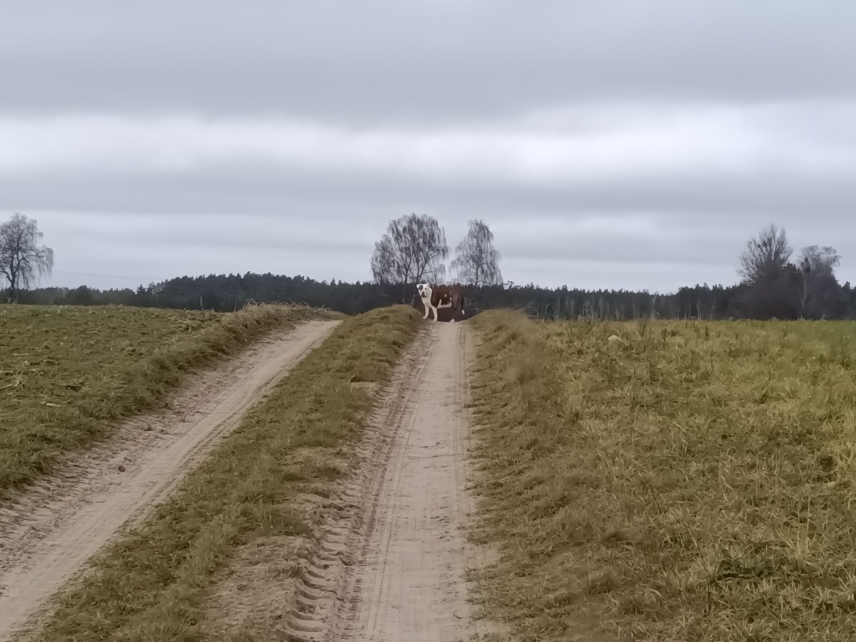 56856718-01e3-4b54-8e1c-670141ba8f54