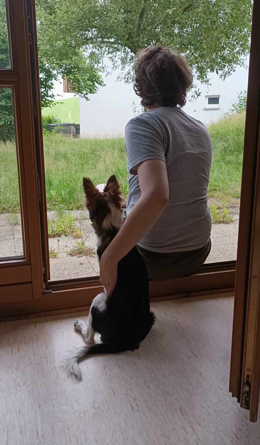 8b8fe4ca-9eb9-40c9-826c-37775fe2bcca