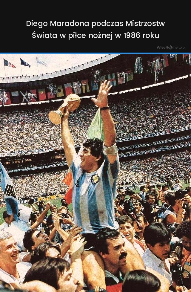 66a06f68-d74e-4ab1-a17e-1cc1179e3d93