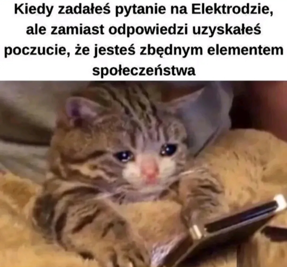 a6fb266a-a5ae-459d-a638-91bc23a151a3