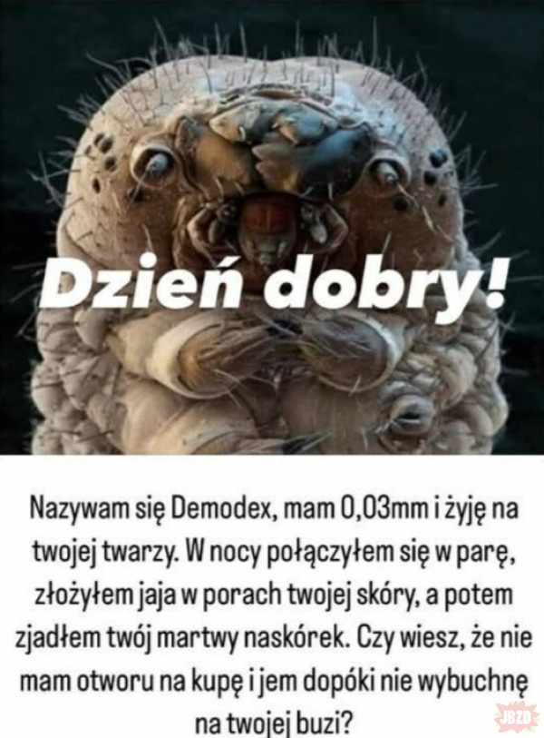 1a243bc9-f906-47b2-a38c-fa536f2f6a58