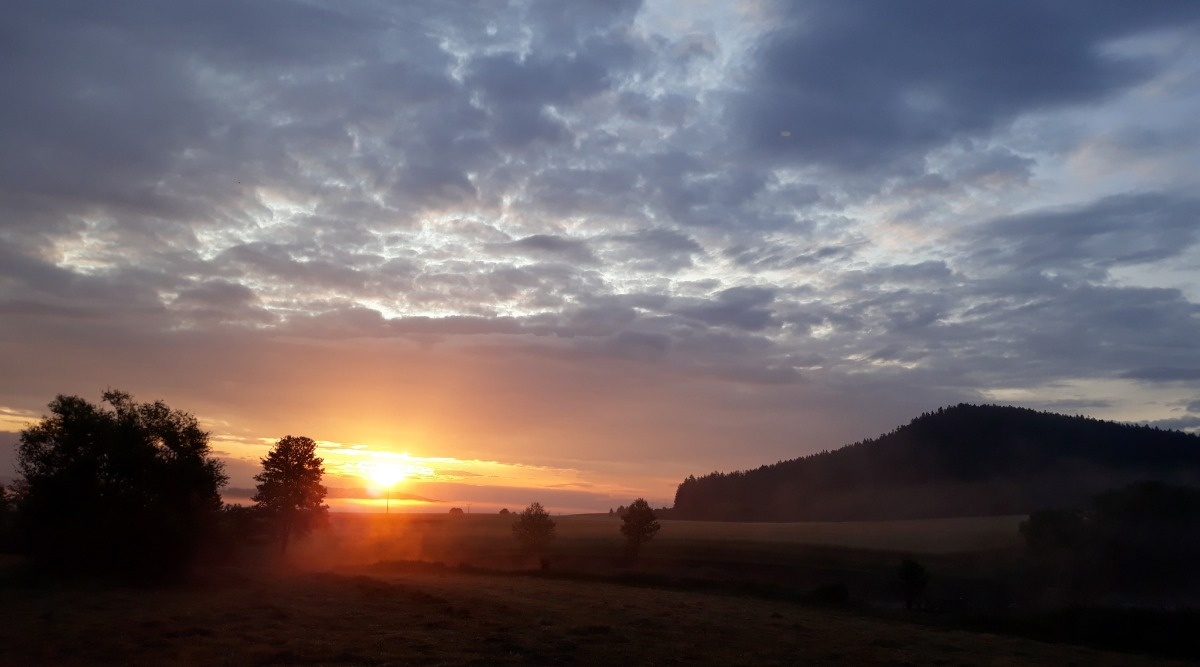 ed3c3742-3ff6-4935-bd53-ffff7a3dddf9