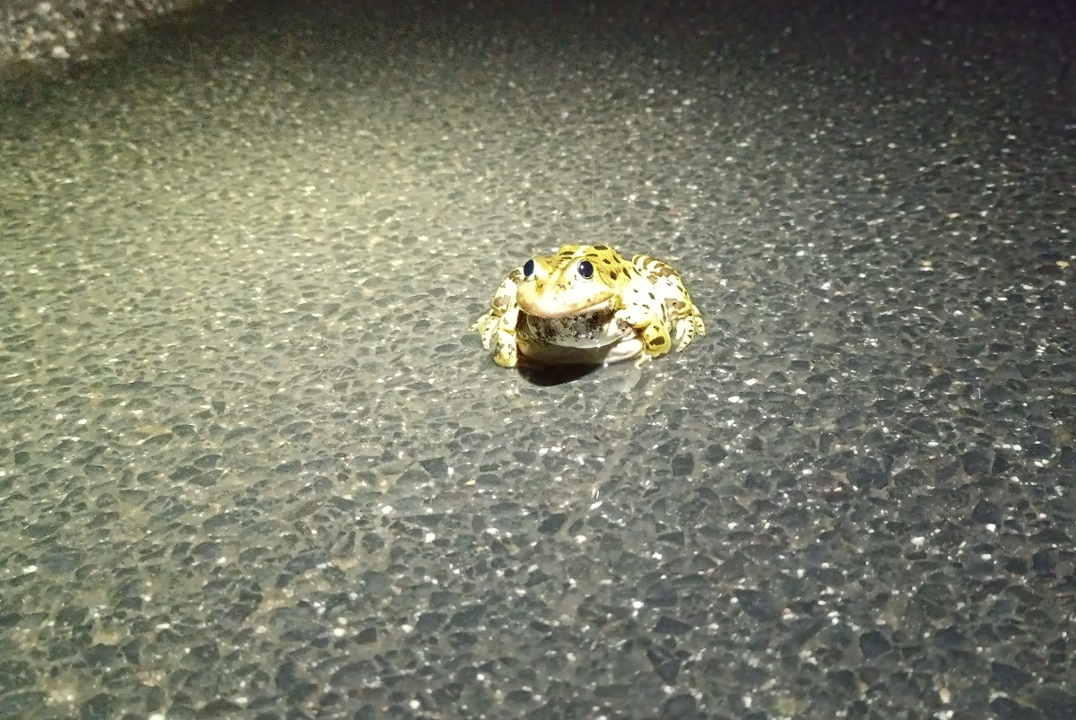 9ea83382-f113-491e-b547-384d05e04513