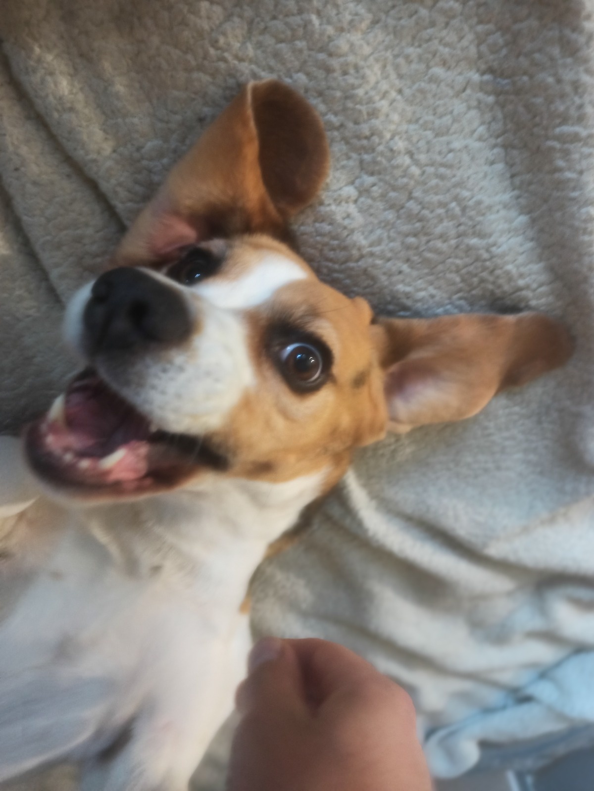 2d33e377-d64a-4785-b2b4-aa14cb477225