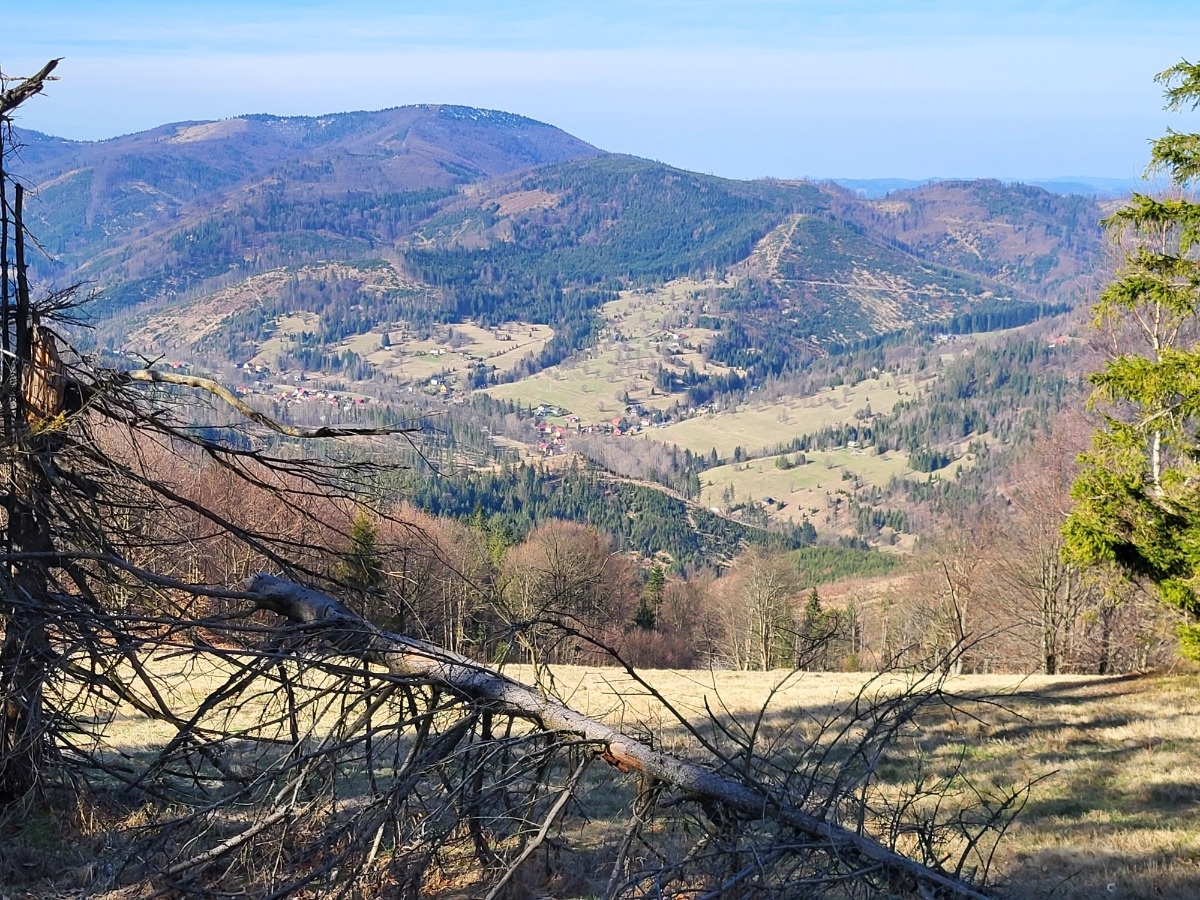 0f493d7e-a59c-48aa-b5c5-9094aff78a6e