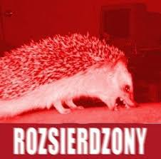 942970b0-dfbd-4e78-aab5-568670dac08e