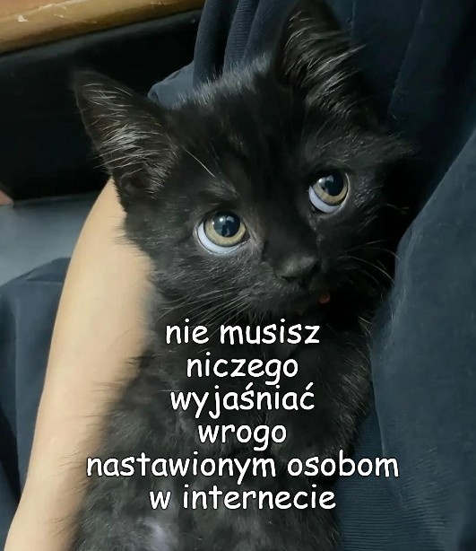 3bbb2d66-ab26-4a21-9fd0-a0fc18235f87