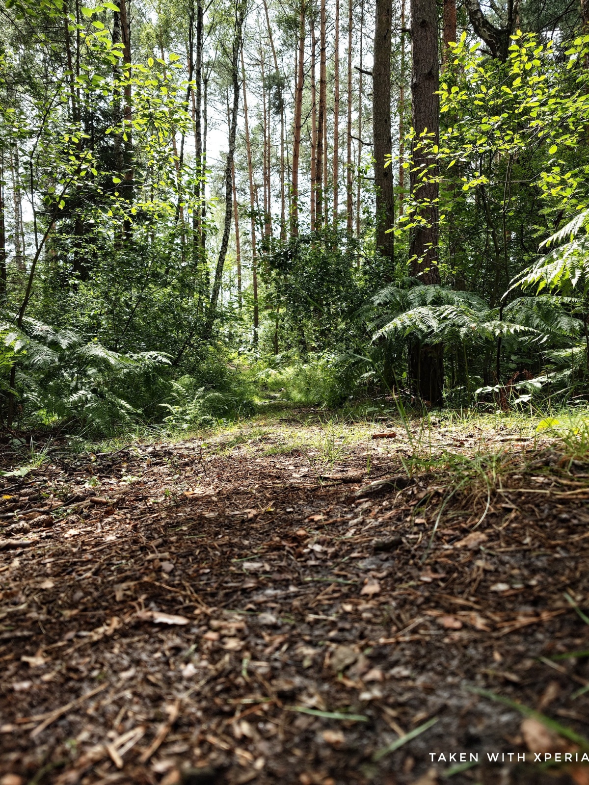 9eeabecc-1423-450e-be24-f8be83cab102