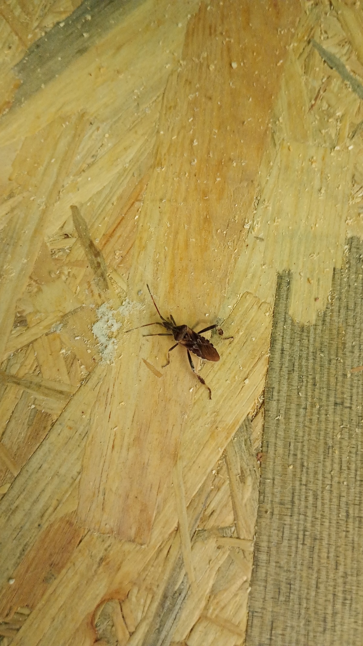 12b1f13c-e8b1-470c-b8e6-9ffbb6b470e7