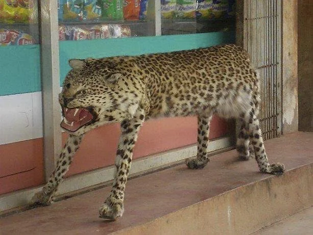 22aa1689-4253-456f-9028-bda76d3779b0