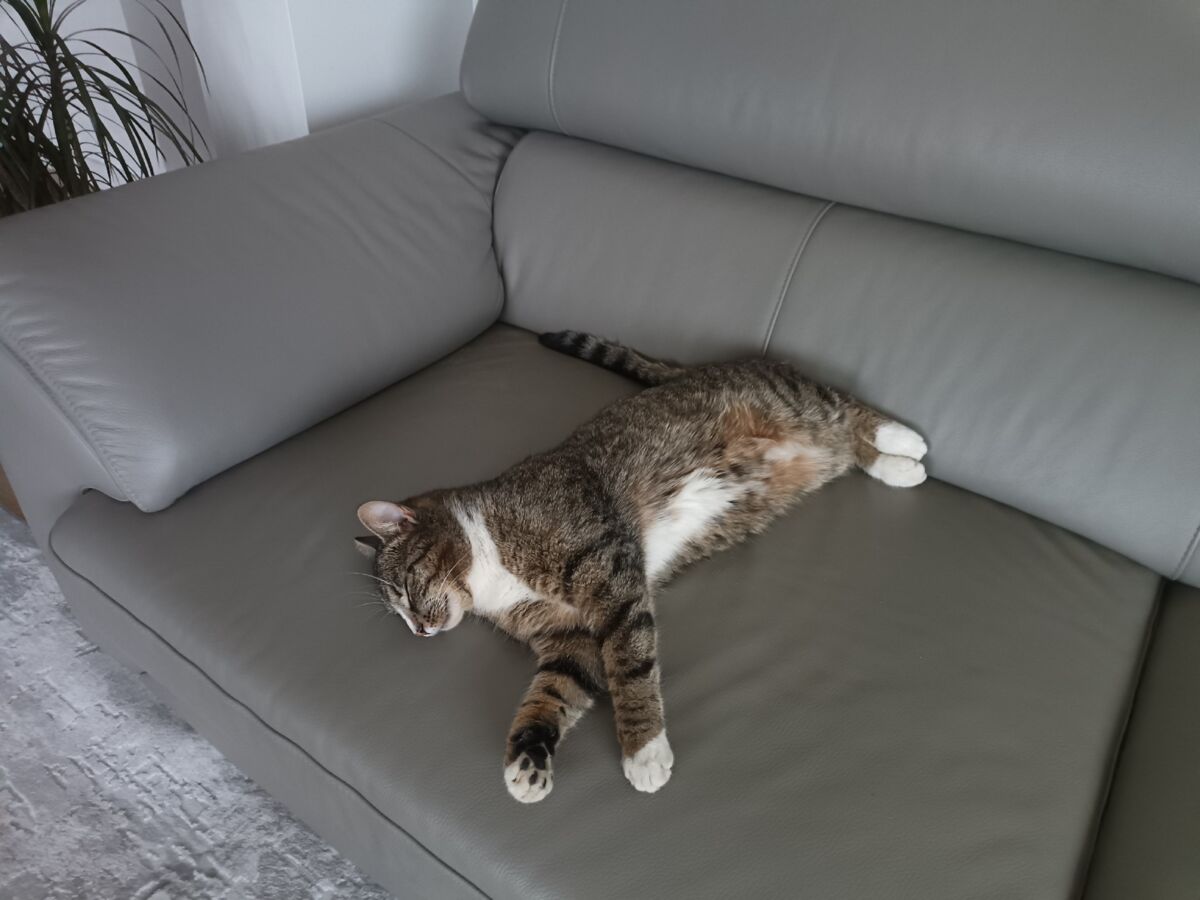 0d8ec0bf-1850-4626-974e-09a520304754