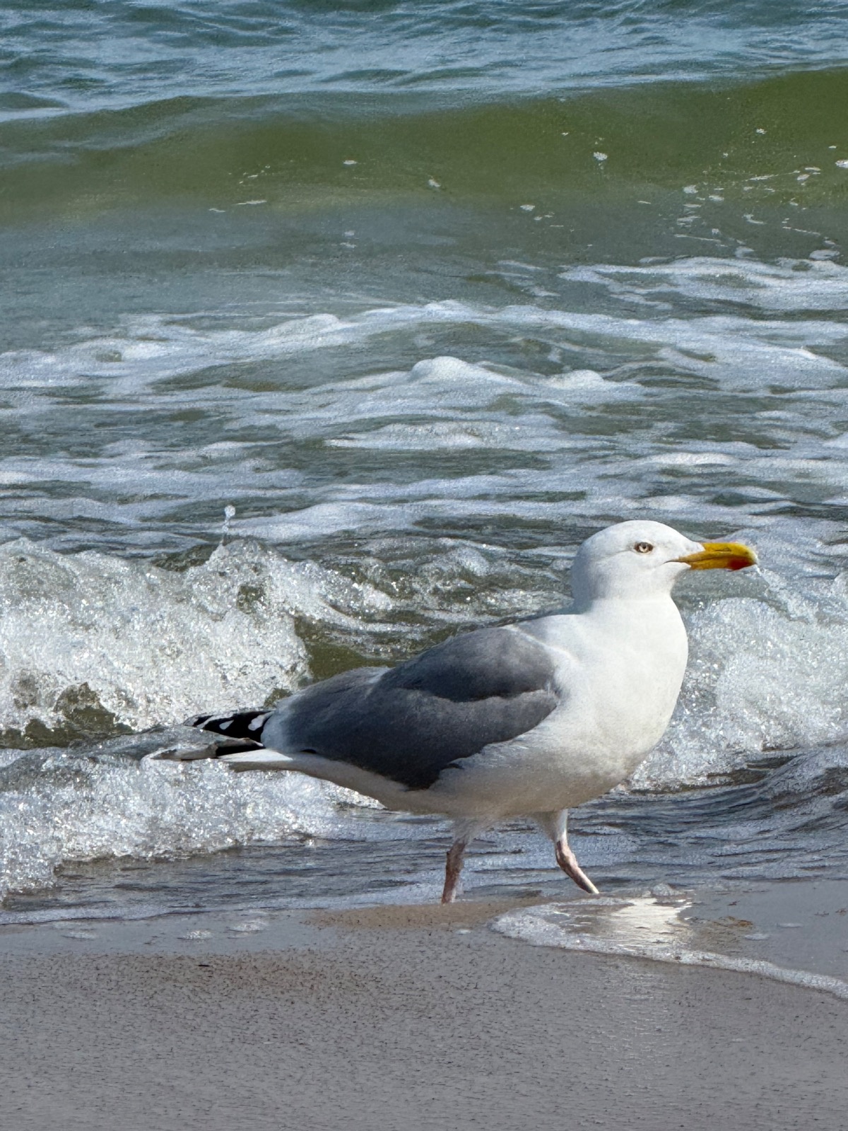 f2ad89b2-3b09-4fef-88ba-46b81804227c