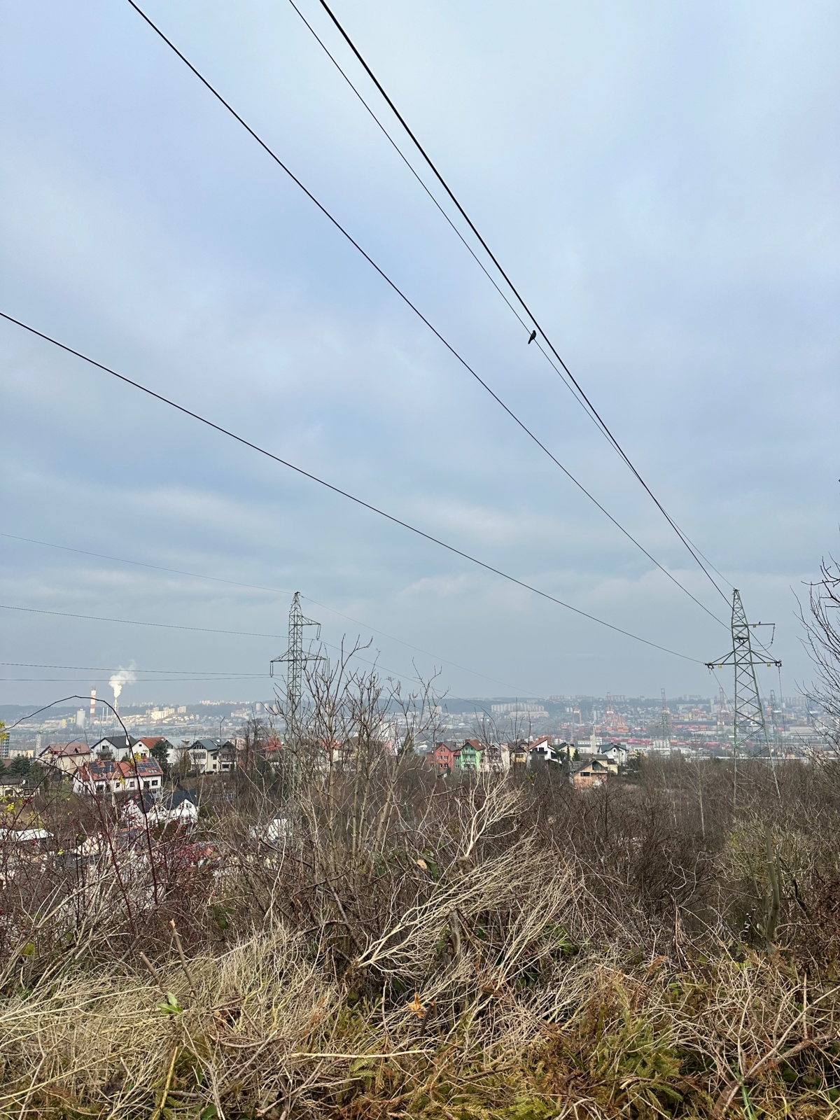 407fdc72-7cda-425b-98a1-f382aae85824