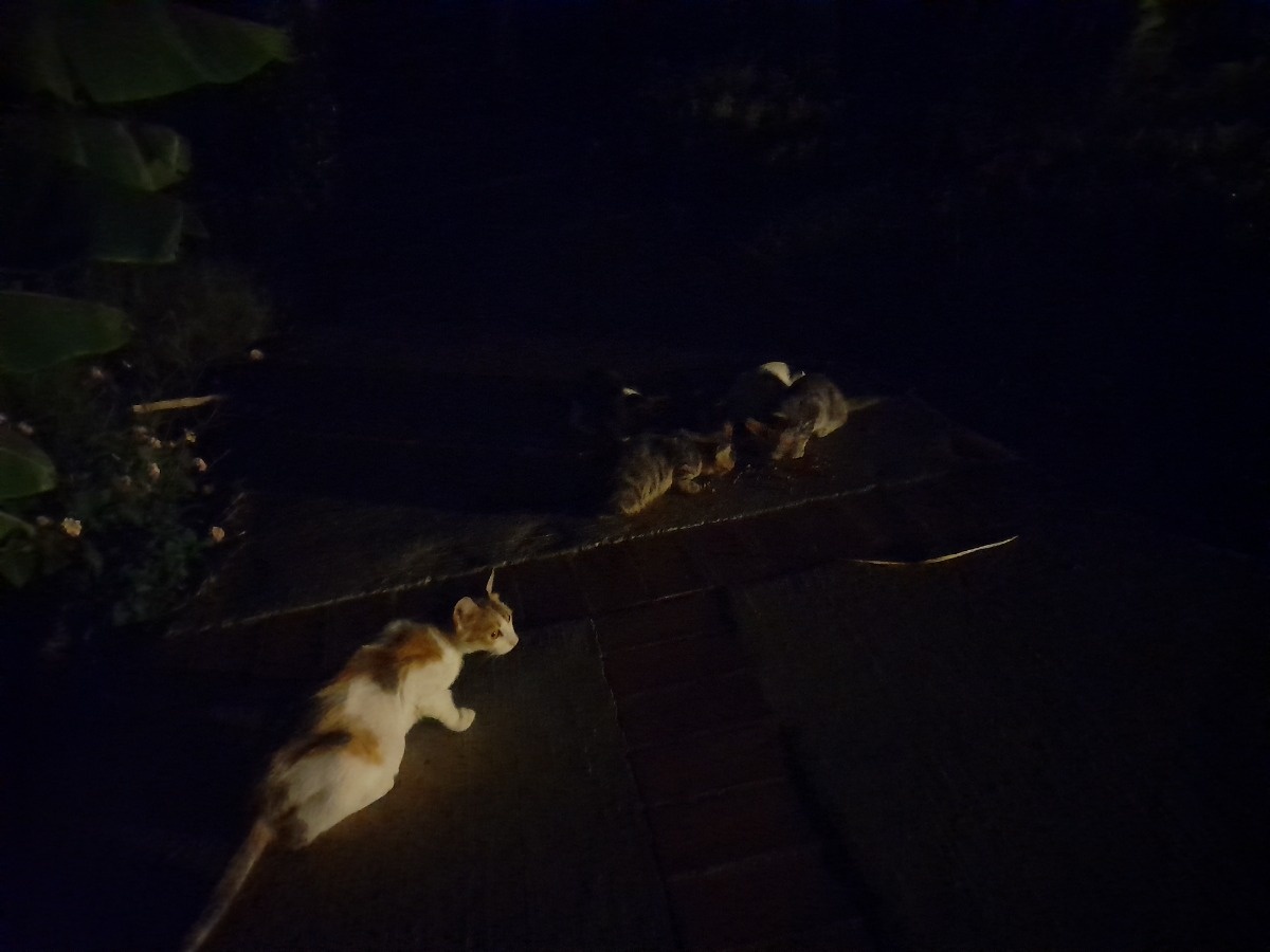 89a7f3e1-7f4b-4f1a-aa0d-e0d2138e41b7