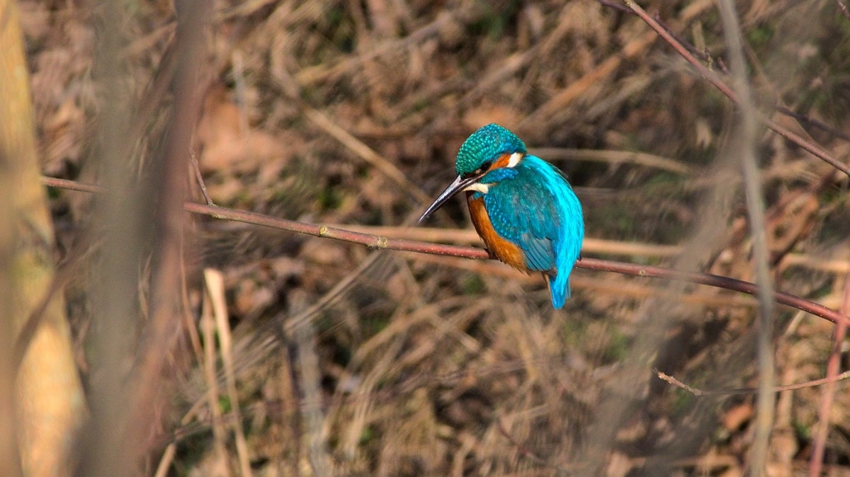 4db24474-dbe0-48a6-8209-8332006dc0b5