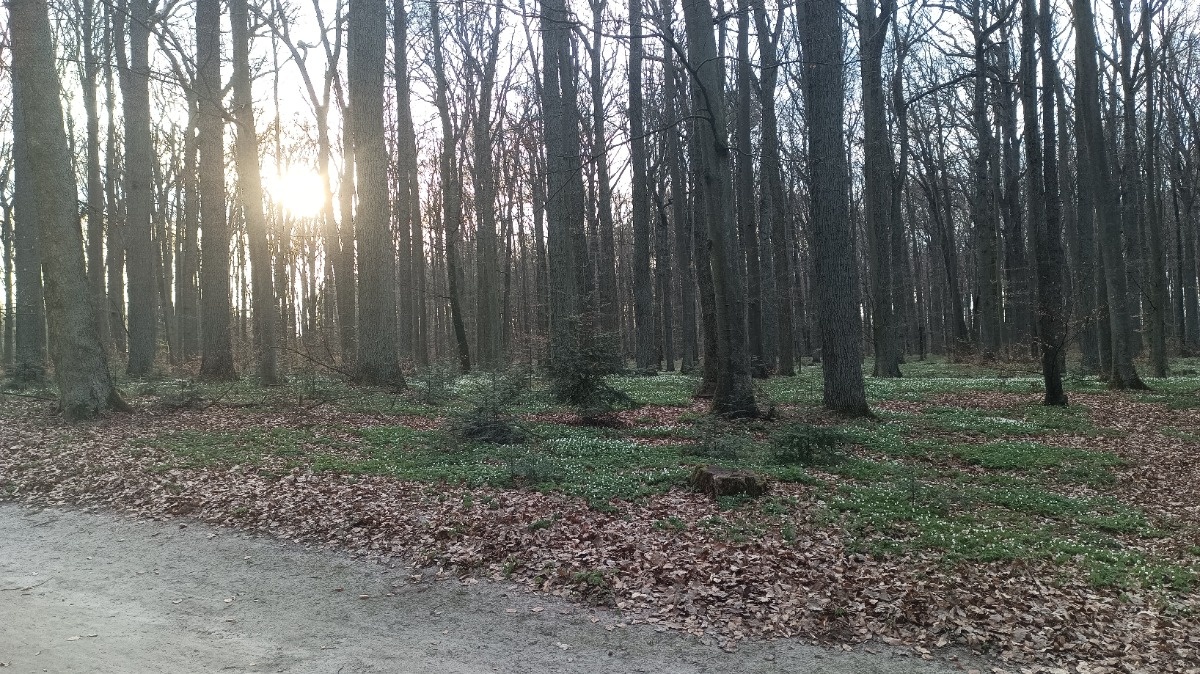 7fd9601d-1ff4-45e6-bb65-8b05983fd5b3