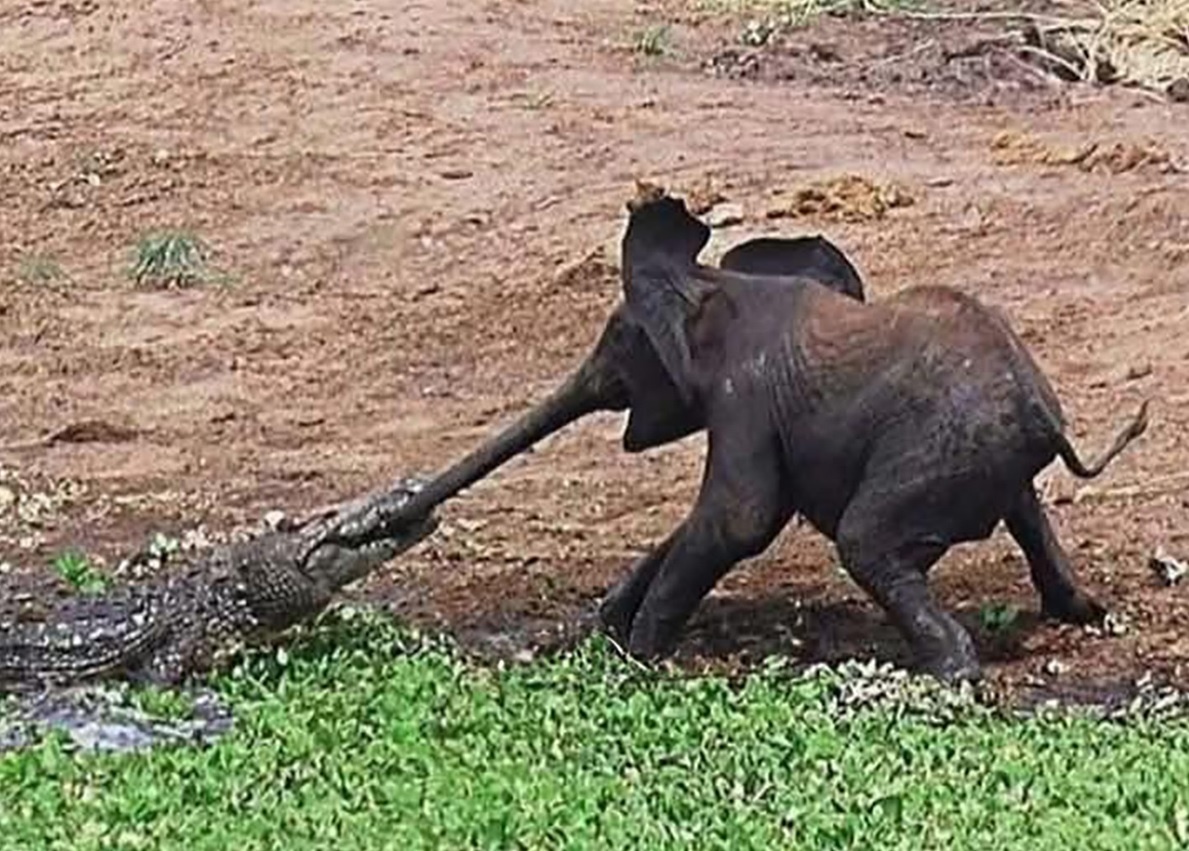 5254b0be-4651-4b7f-8b2c-c70c5e53e523