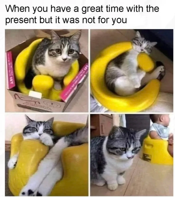 0066e35d-ebeb-49c3-9c42-28e483440f17